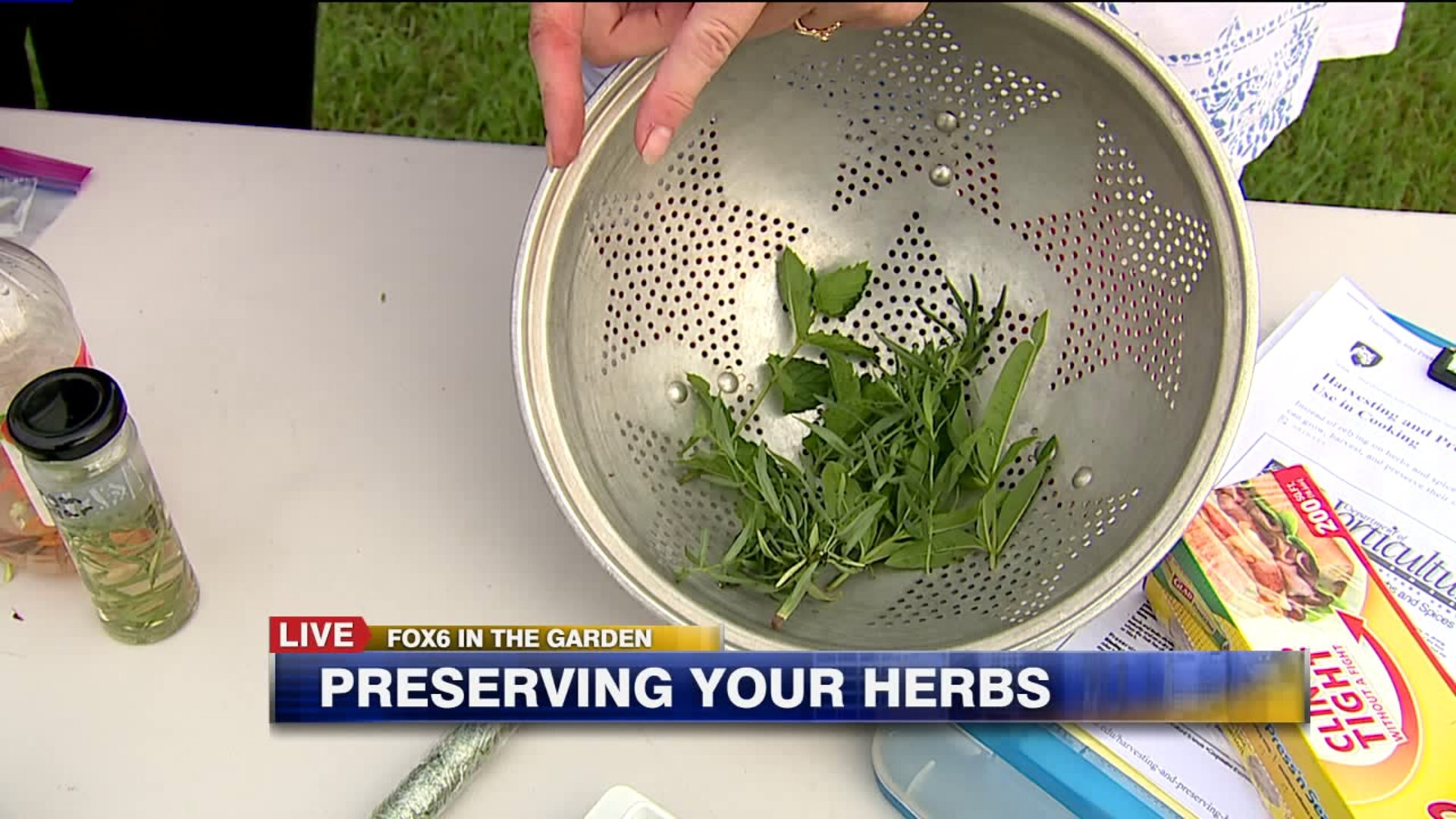 Preserving your herbs