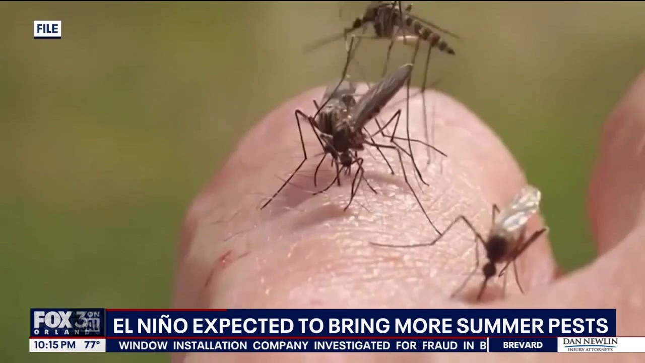 Experts warn hot, humid summer could bring surge in mosquitoes
