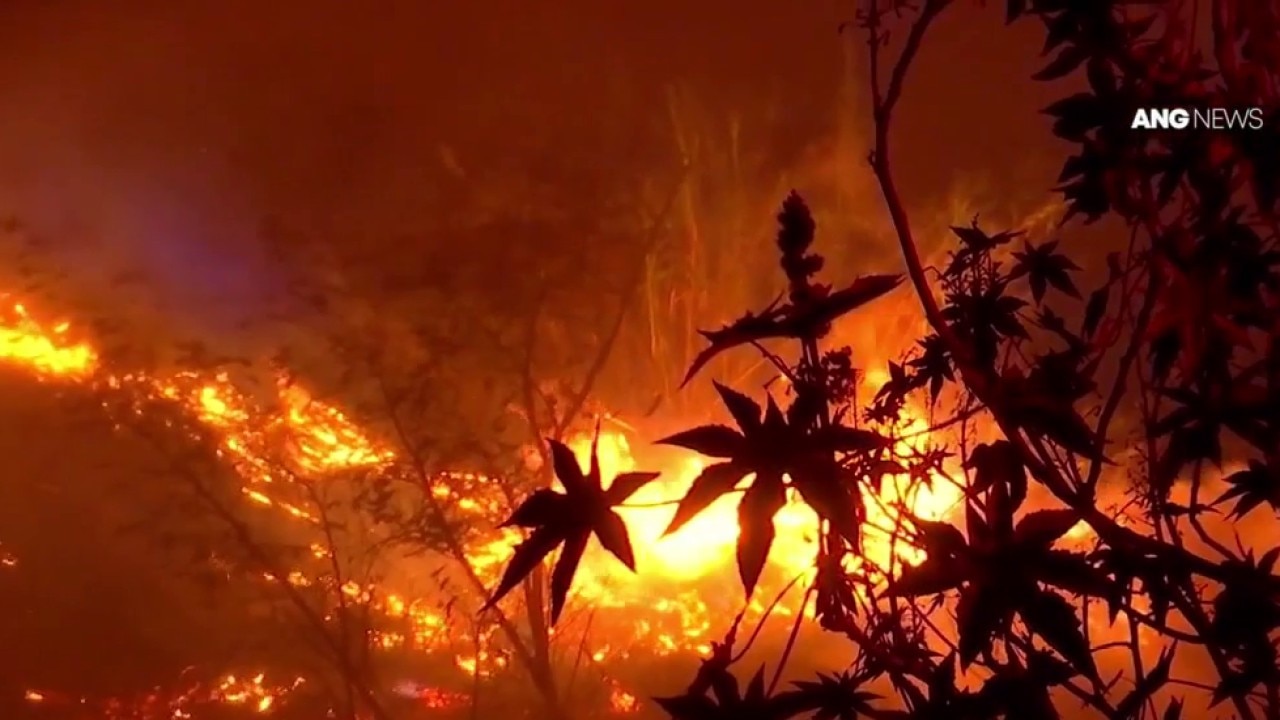 Brush fire erupts on VA wetlands property
