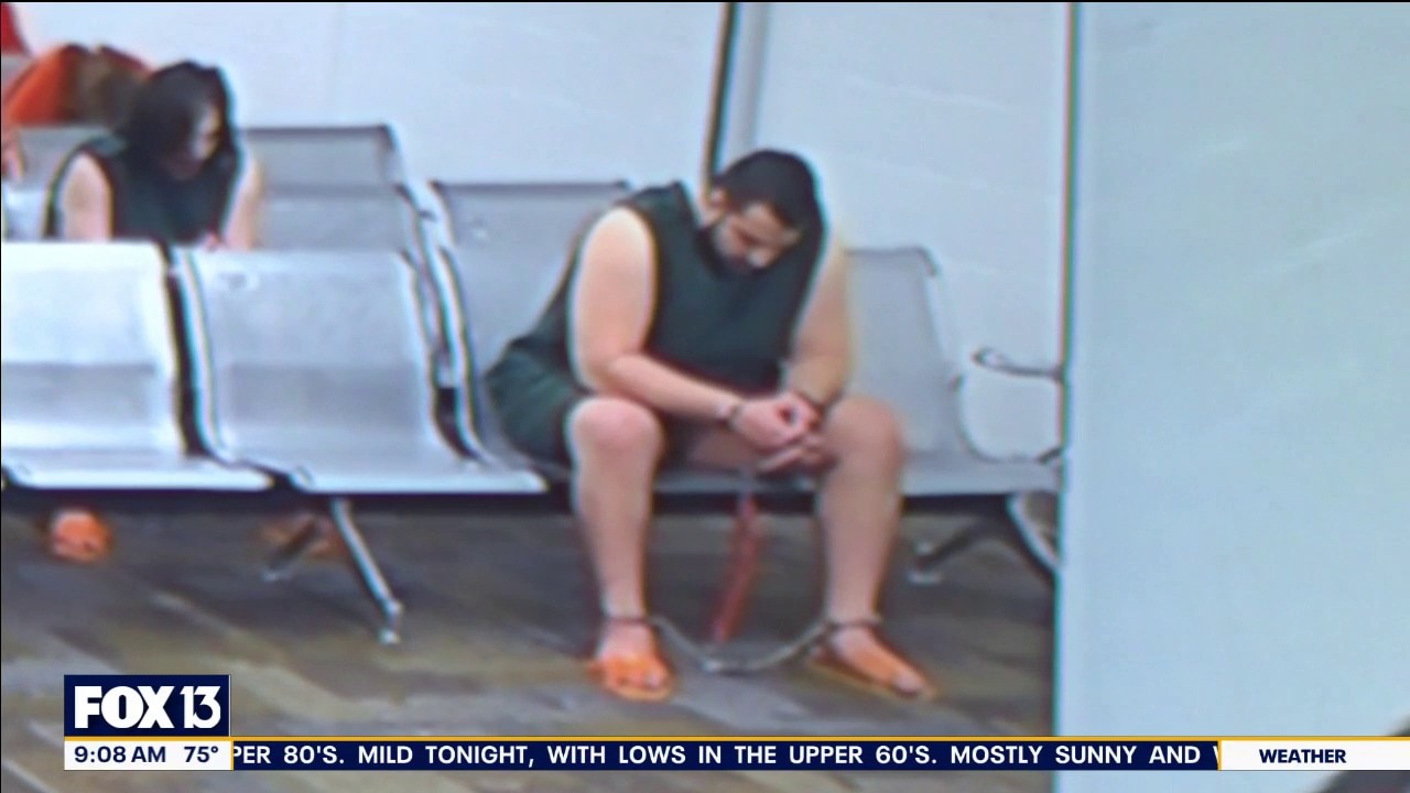 Suspect asked AI about disposal of body: Docs