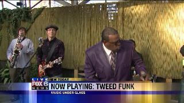 Activities you can enjoy at Music Under Glass