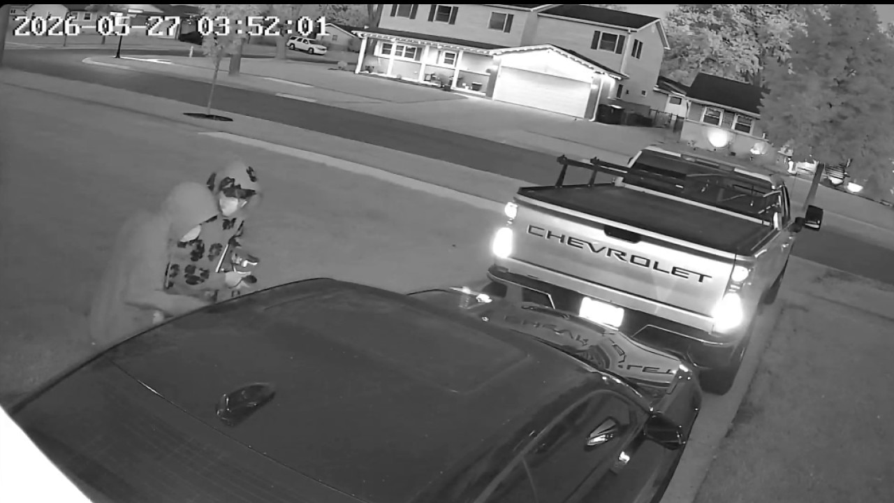 Video captures Elk Grove Village Camaro break-in