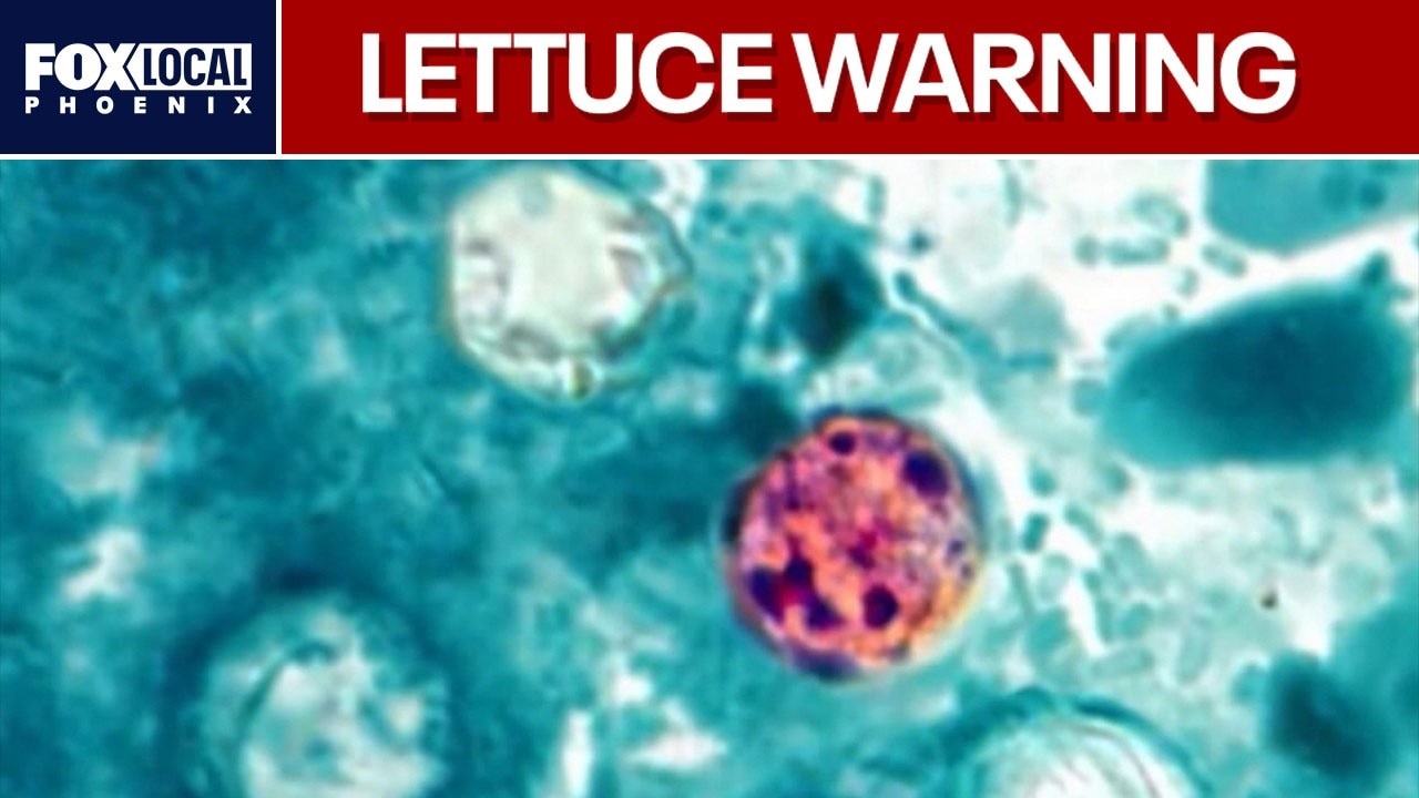 Cyclospora outbreak: FDA links parasite outbreak to Taco Bell lettuce