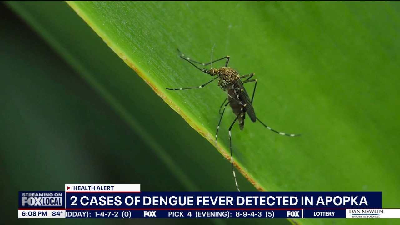 Orange County confirms 2 new locally acquired dengue cases
