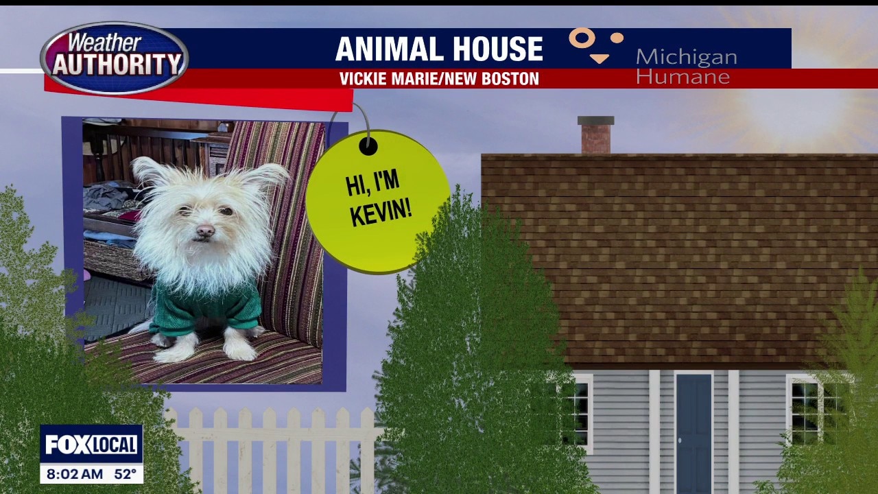 Welcome Charlie Elizabeth, Kevin, Butters
