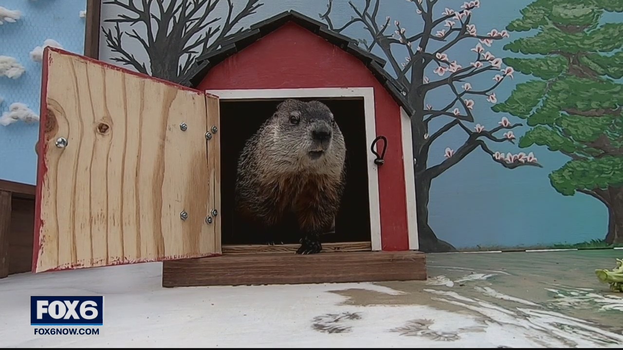 Milwaukee County Zoo's Gordy the woodchuck did not see his shadow