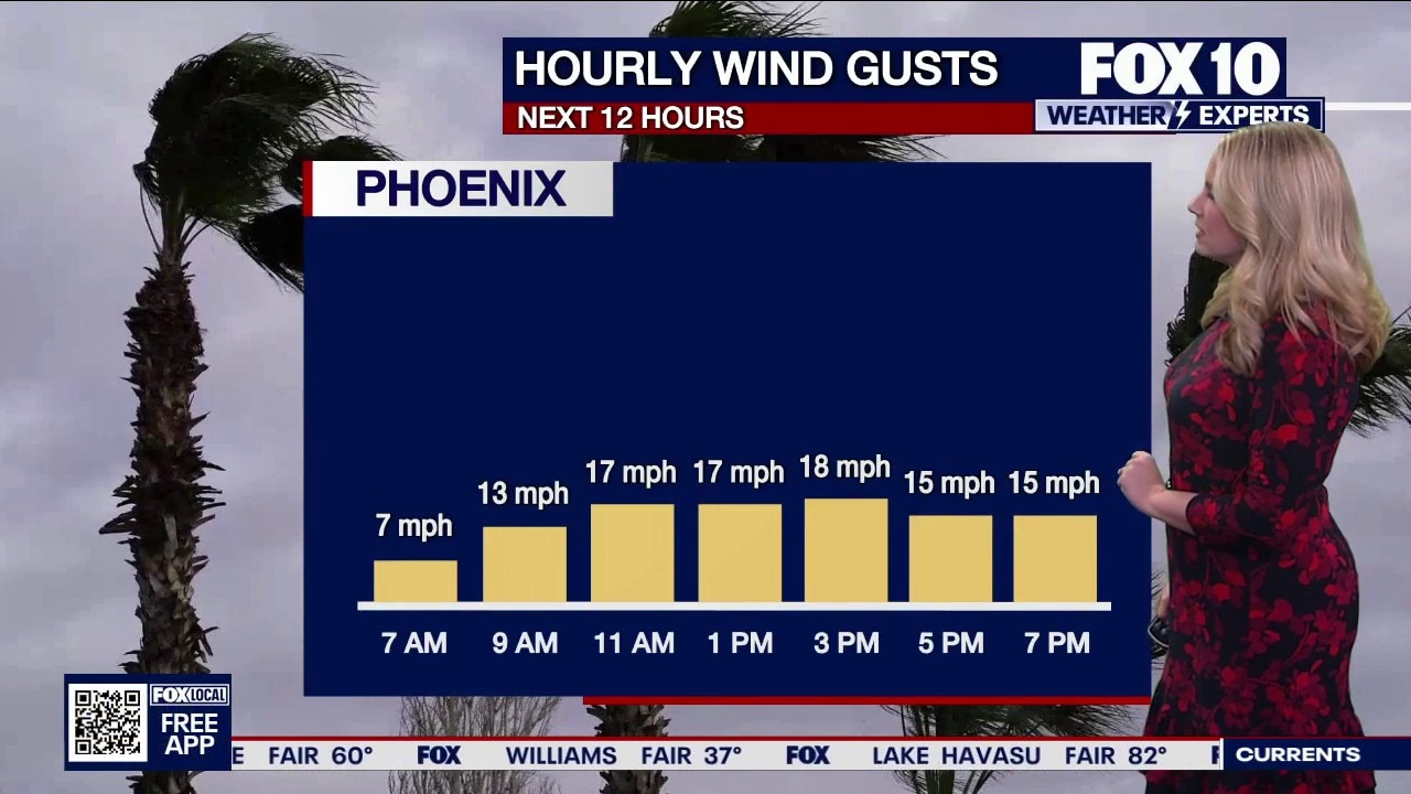 Morning Weather Forecast -7/1/26
