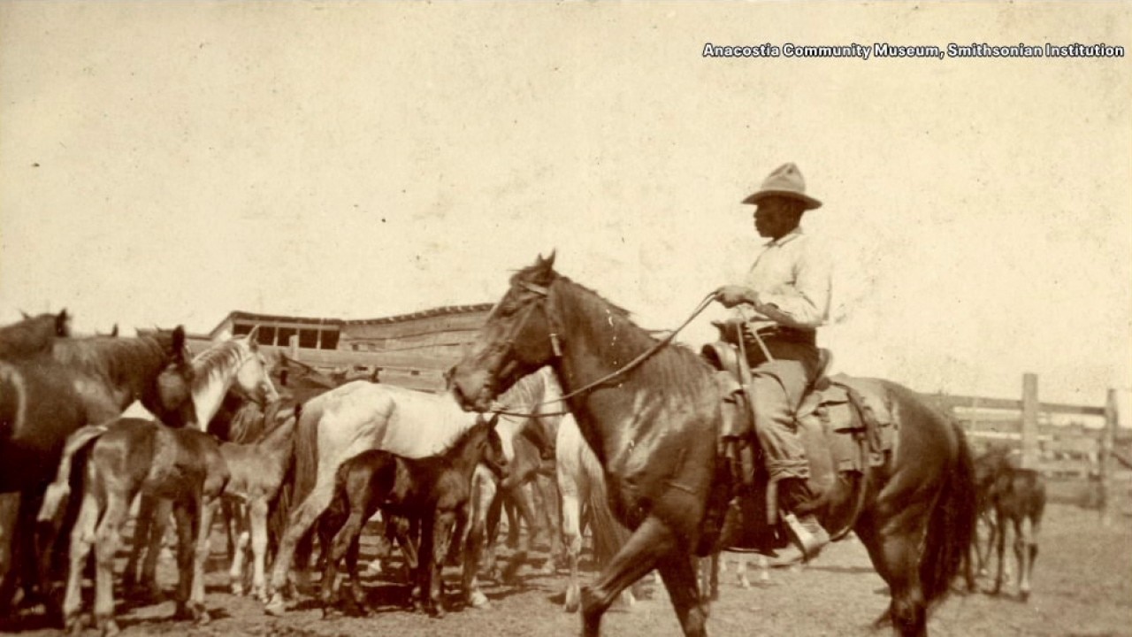 Dallas museum's Black cowboys exhibition explores Texas frontier history