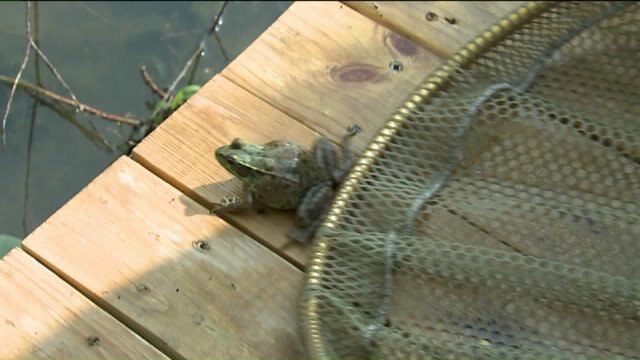 Kramp learns about fun camps at Schlitz Audubon Center