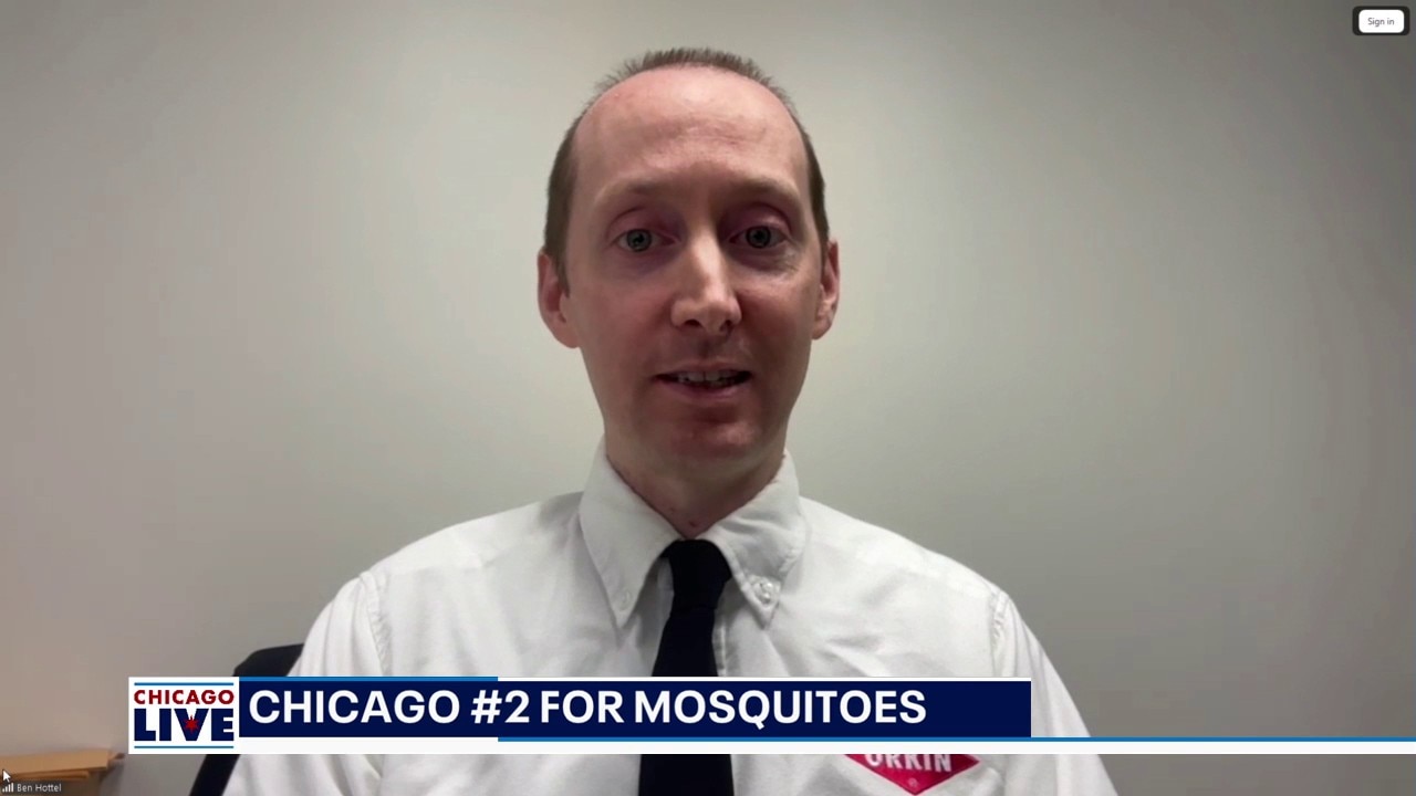 Chicago ranks no. 2 among worst U.S. cities for mosquitoes, report says | ChicagoLIVE