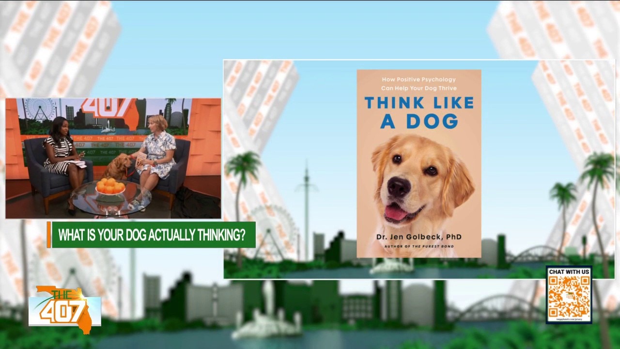 What Really Goes On Inside Your Dog’s Mind?