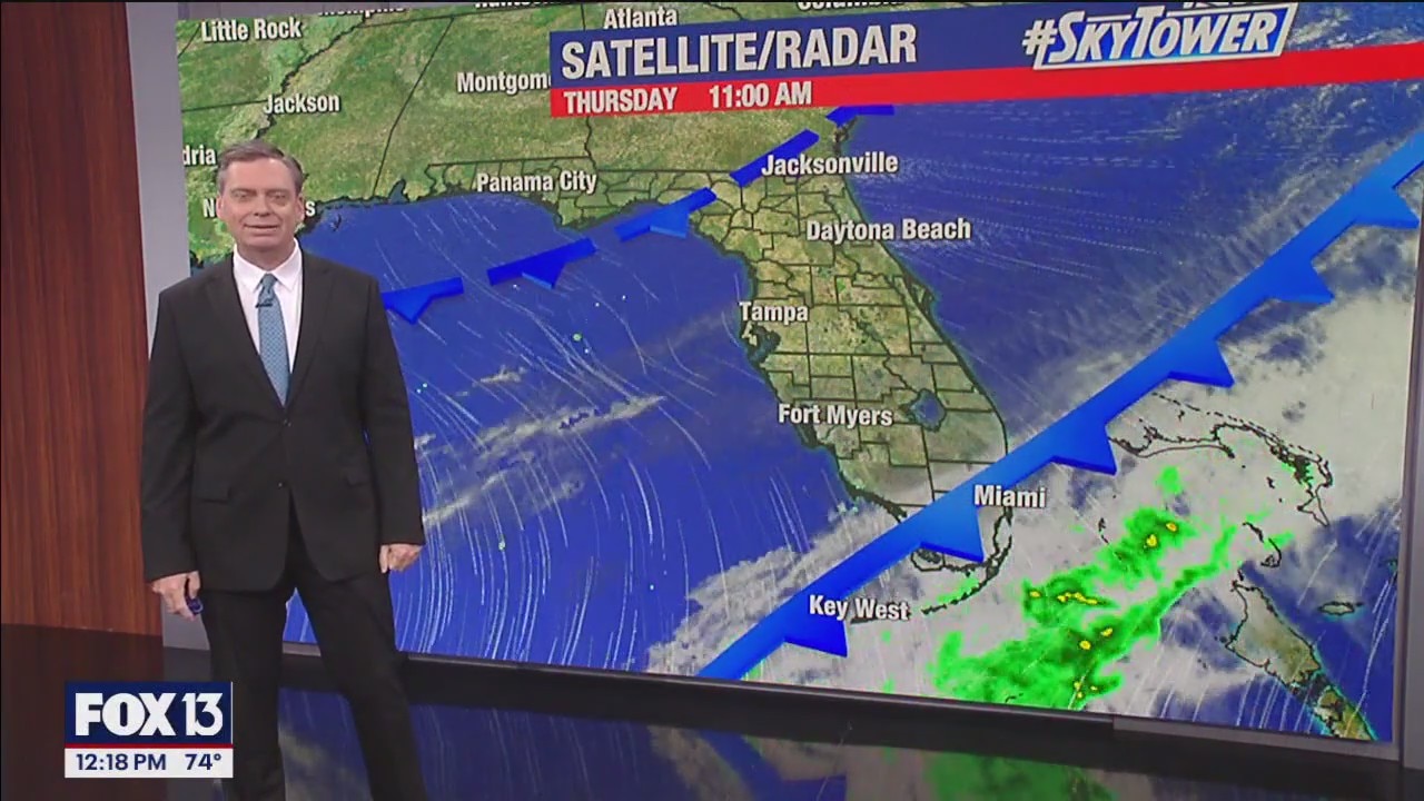 Tampa Weather | Warm & Sunny