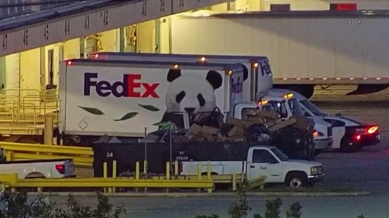 Giant pandas Ping Ping and Fu Shuang arrive in Atlanta