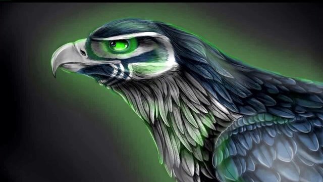 Seahawk charity art
