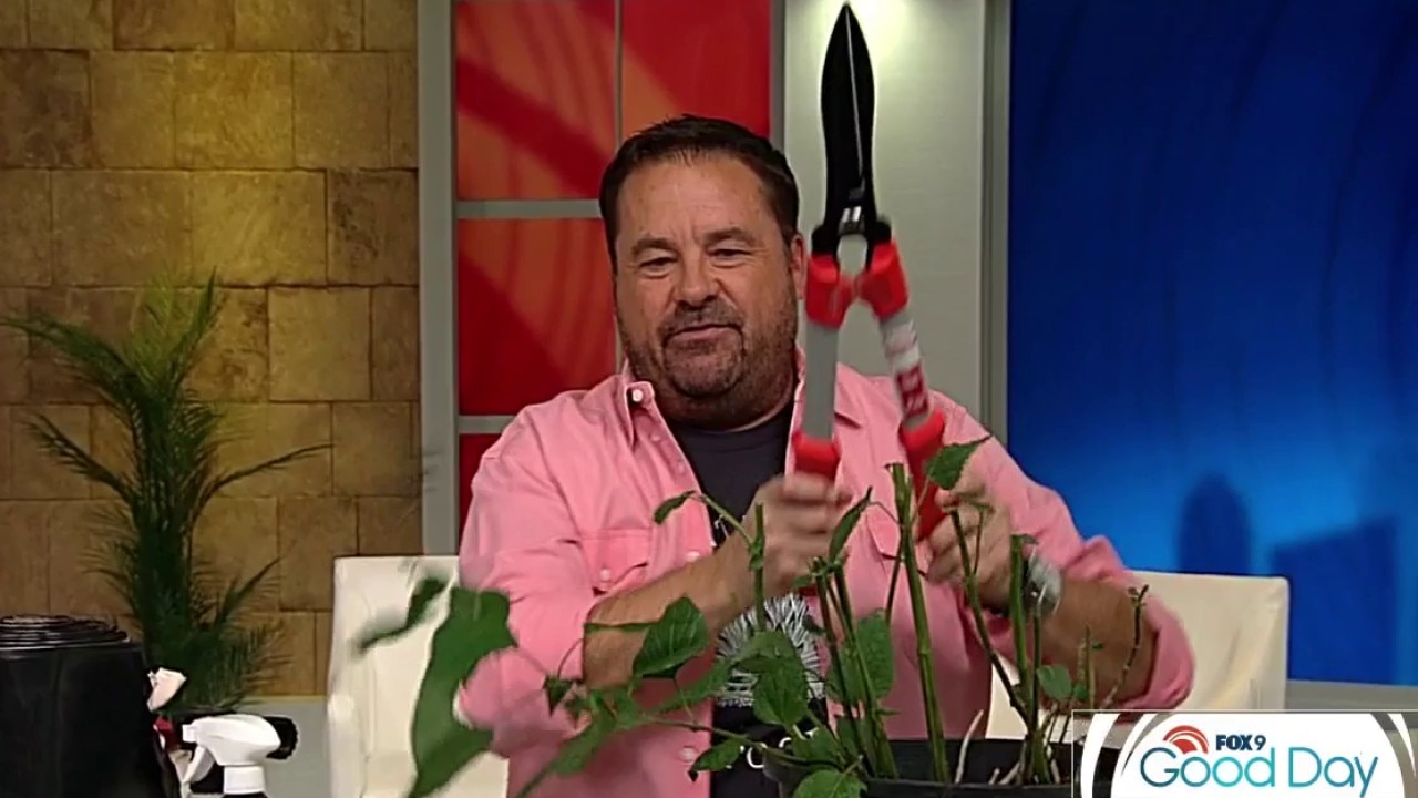 Ask the Gardener