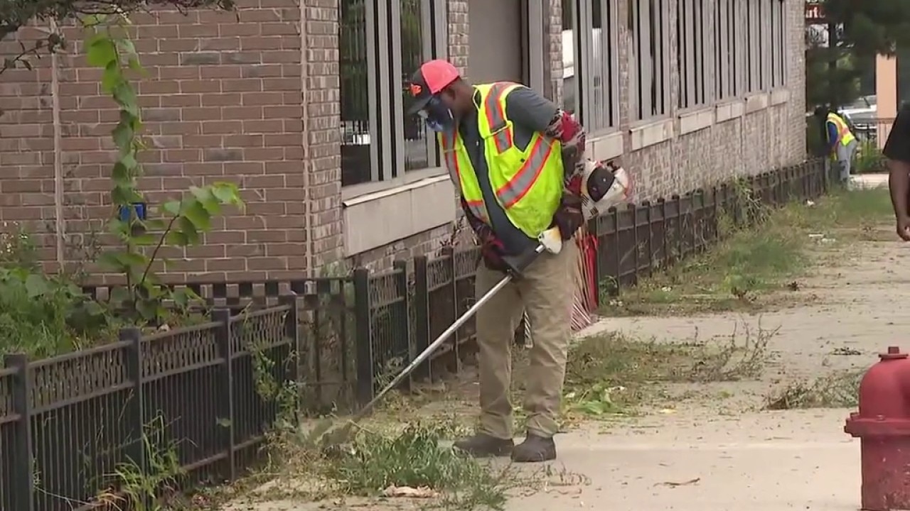 Chicago police station 'overrun' by rats: 'I'm seeing them pretty much everyday'