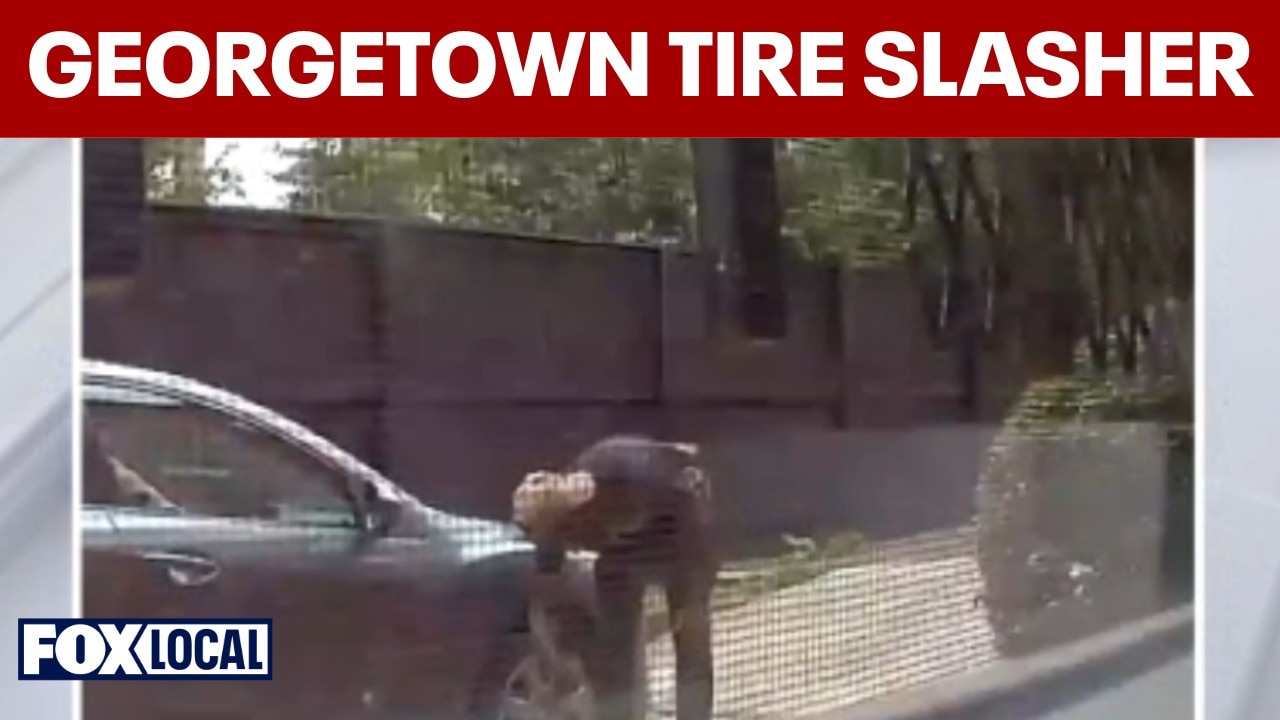 Police search for suspect caught on camera slashing tires in Georgetown