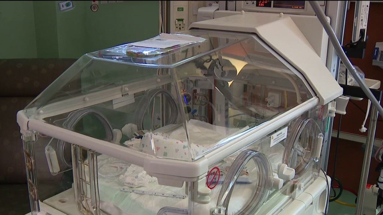 NICU admissions surge at Tampa General Hospital