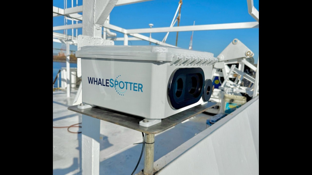 Using AI to detect whales in San Francisco Bay