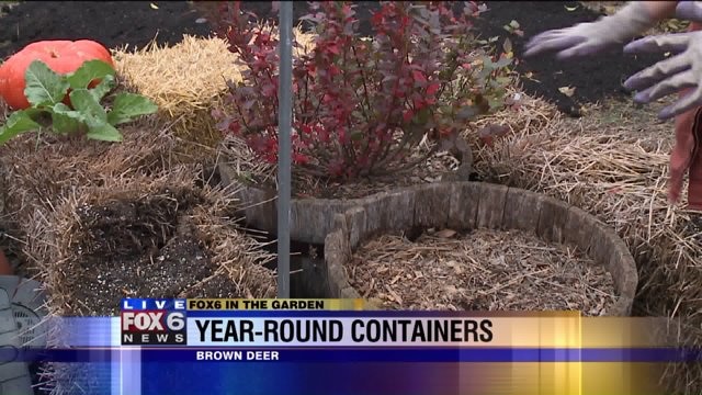 Some of summer`s containers should go into the shed for the winter