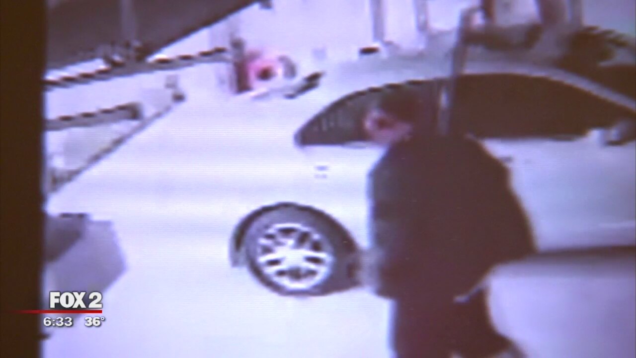 Daytime thief helps himself to open garage in Sterling Heights