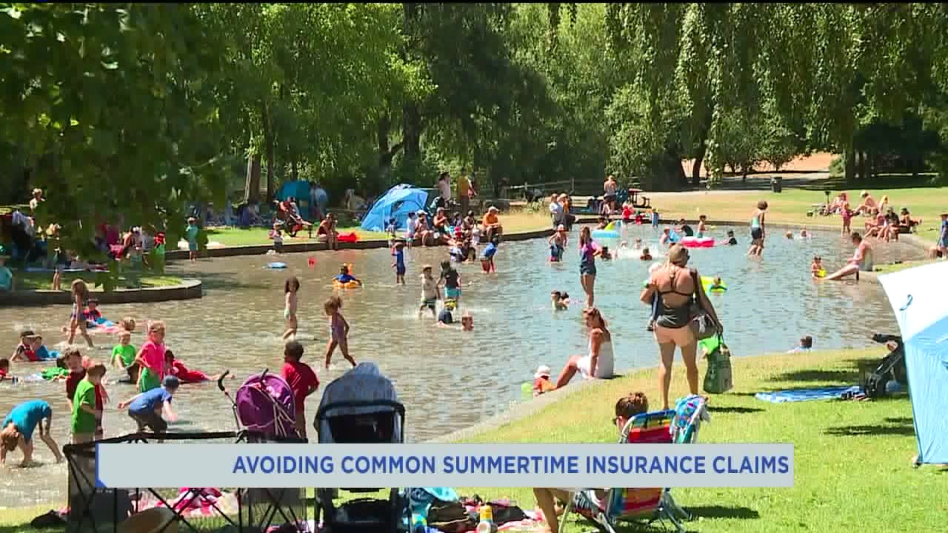 Pemco Insurance: Avoid Summertime Hazards