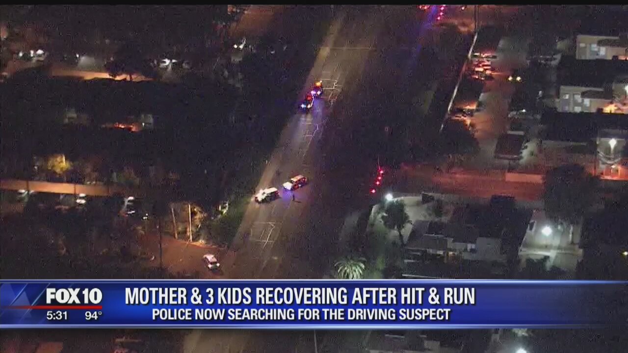 PD release description of car involved in Friday night crash