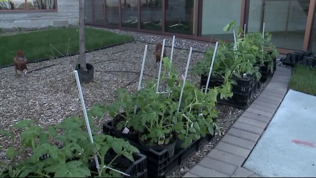 Flowers for mom: "Friends of the Oak Creek Public Library" hosts second annual plant sale