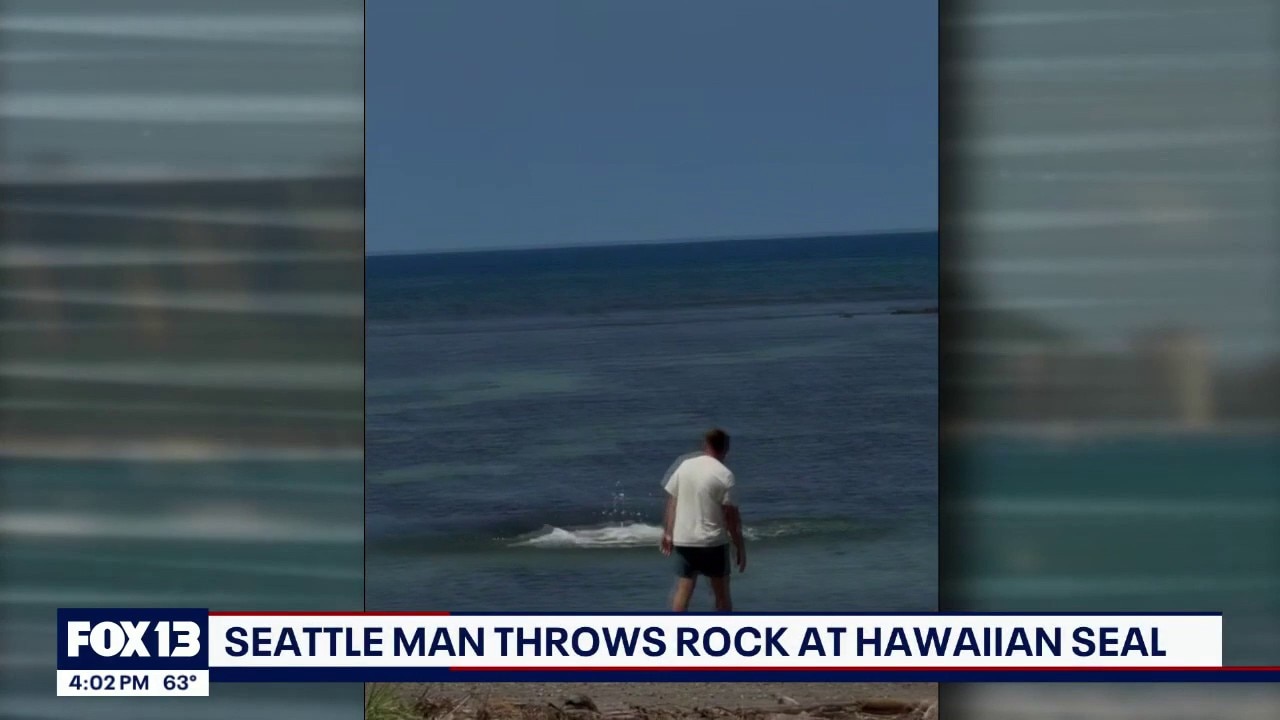 Seattle tourist throws rock at endangered monk seal