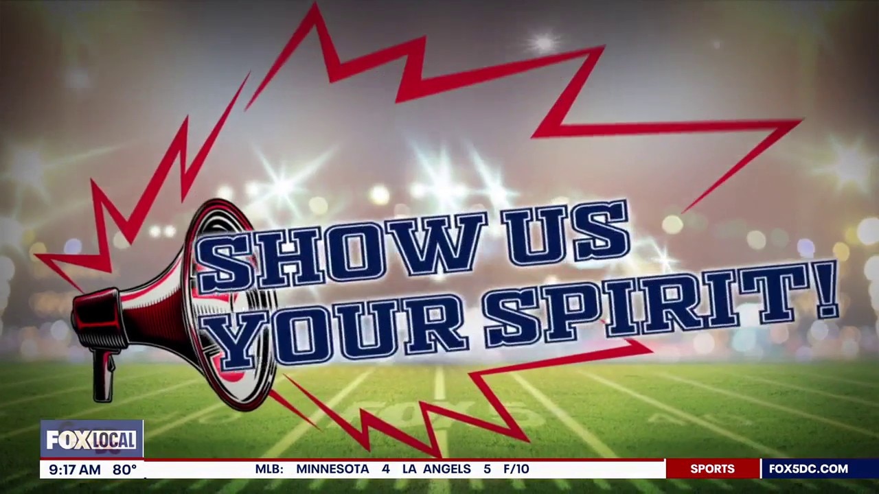 Show Us Your Spirit: Wise High Pumas