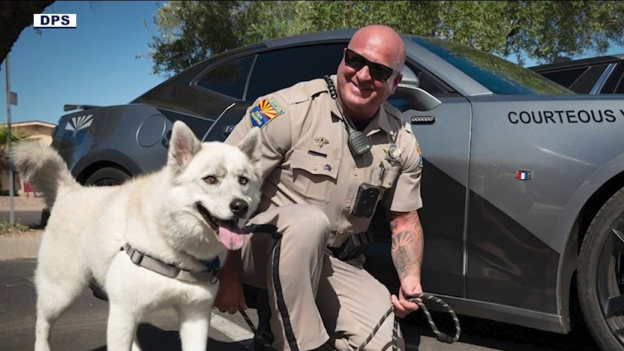 Arizona DPS trooper dies in motorcycle crash in Peoria