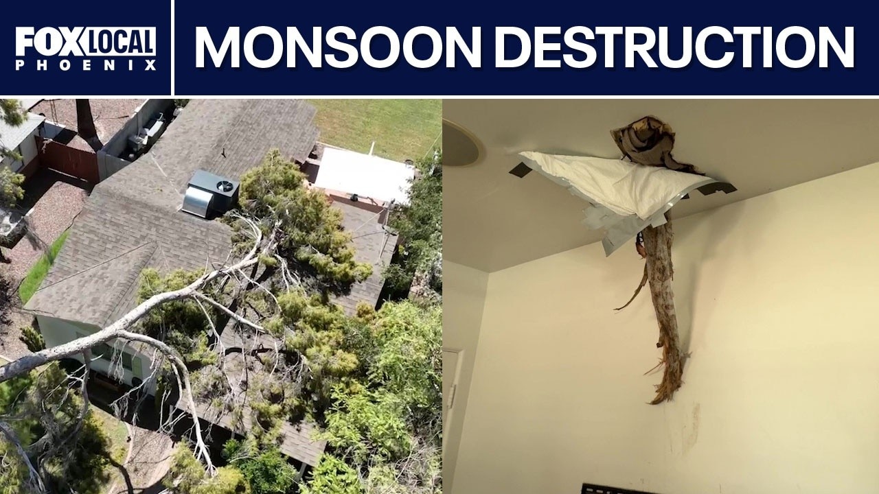 Monsoon: Tree crashes through Phoenix home's roof