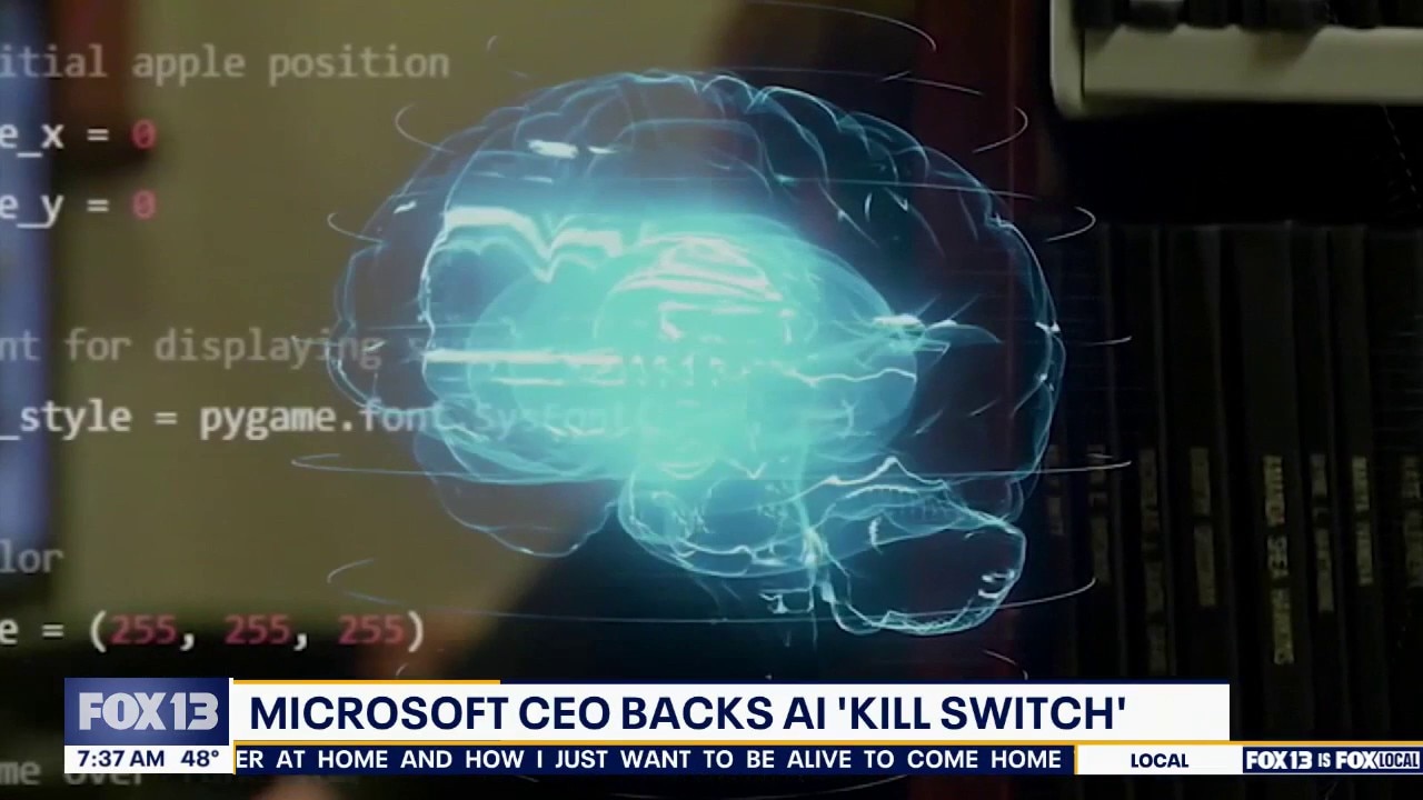 Microsoft CEO back artificial intelligence 'kill switch'