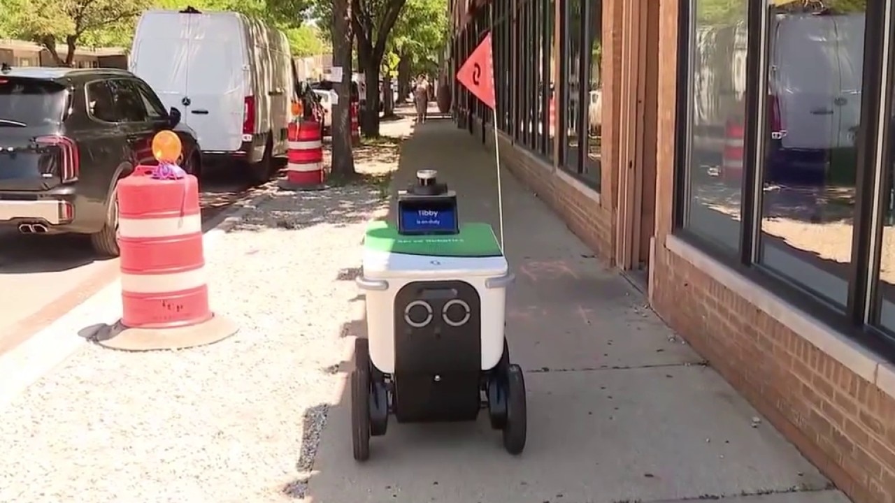 Food delivery robots expand to Chicago's South Side