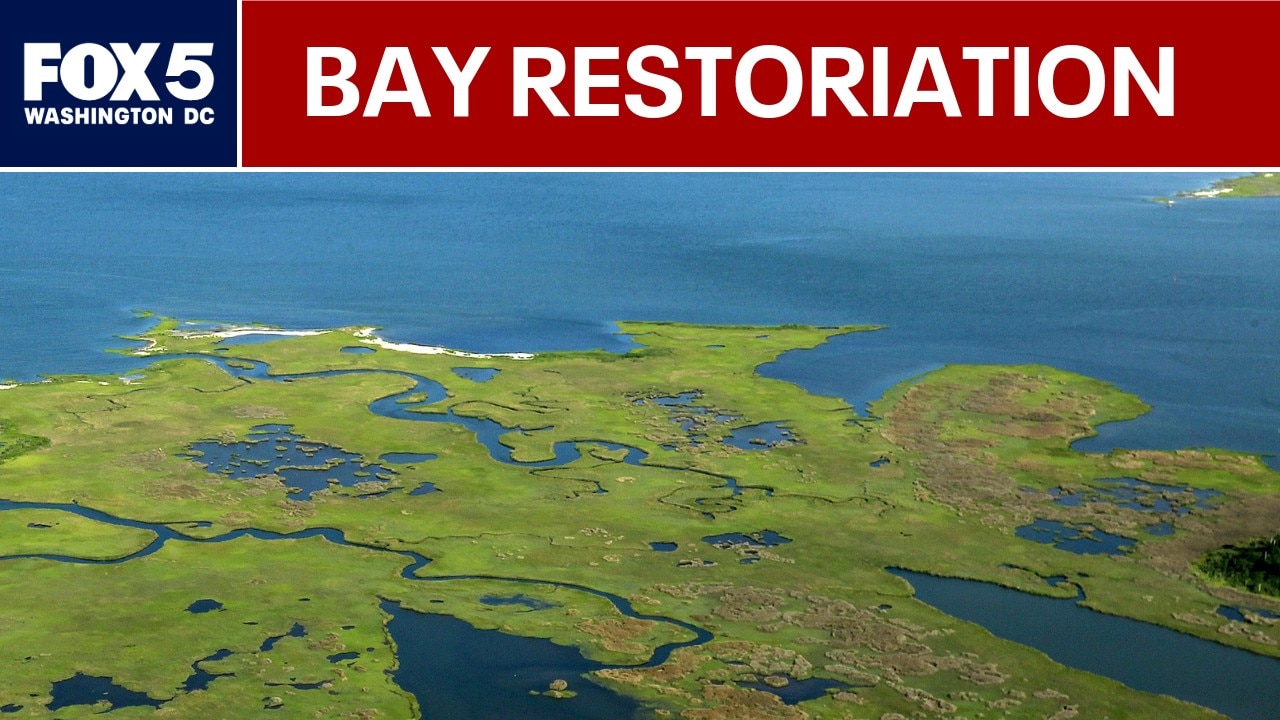 Trump administration revokes executive order on Chesapeake Bay restoration