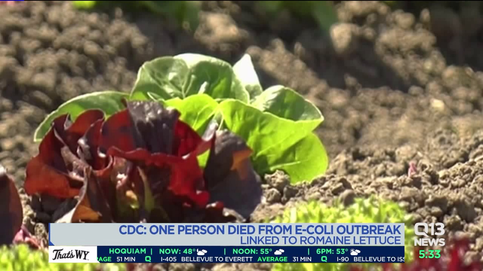 E. coli outbreak turns deadly