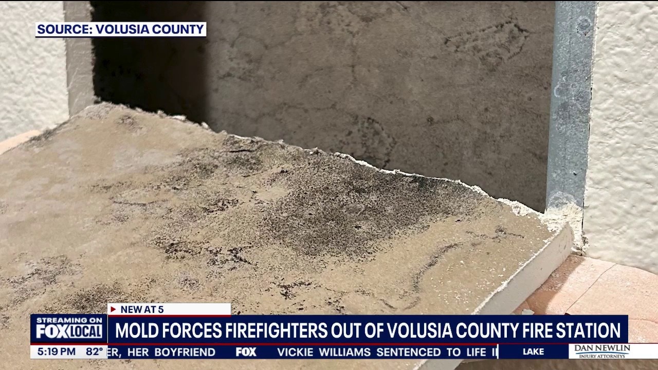 Firefighters evacuated after mold found in Lake Helen fire station