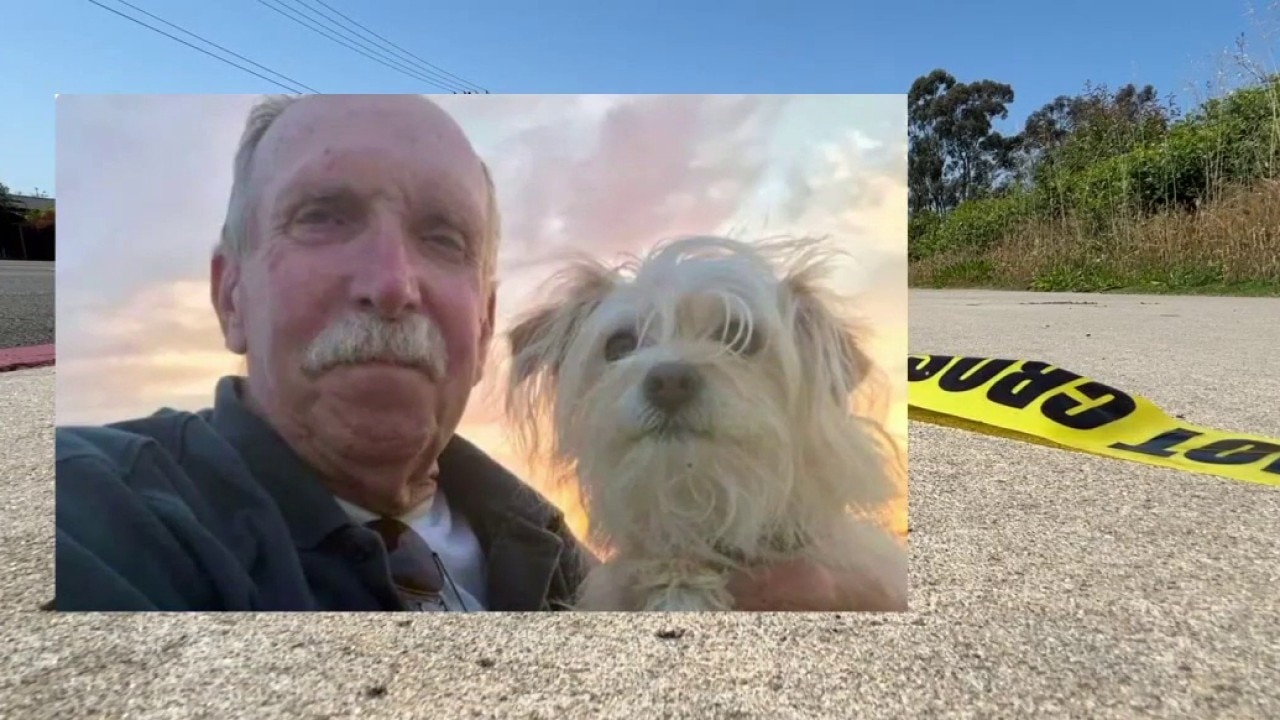 E-motorcycle rider leaves veteran critically hurt