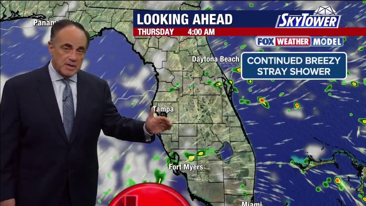 Tampa weather I Tuesday evening forecast