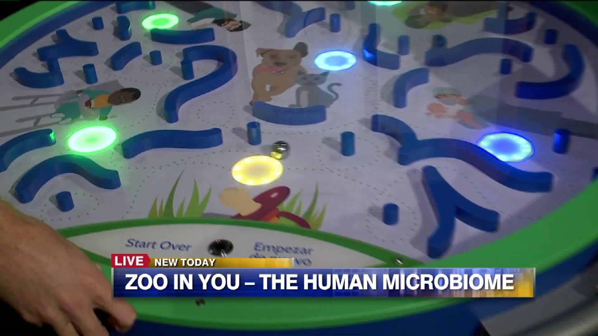 Zoo in You the Human Microbiome