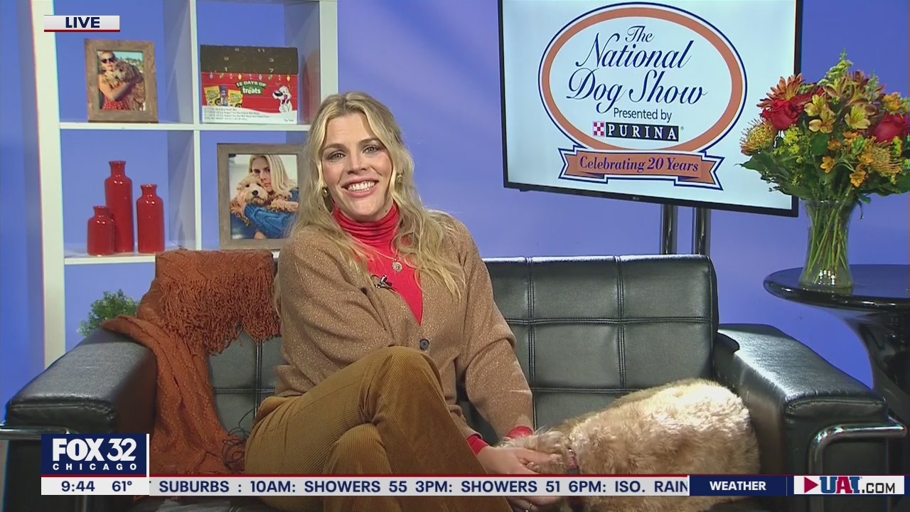 Busy Philipps to help kick off the 20th anniversary celebration of the National Dog Show