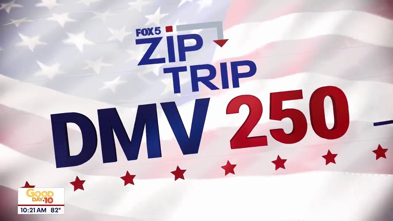 Zip Trip to Vienna: Visiting Vienna!
