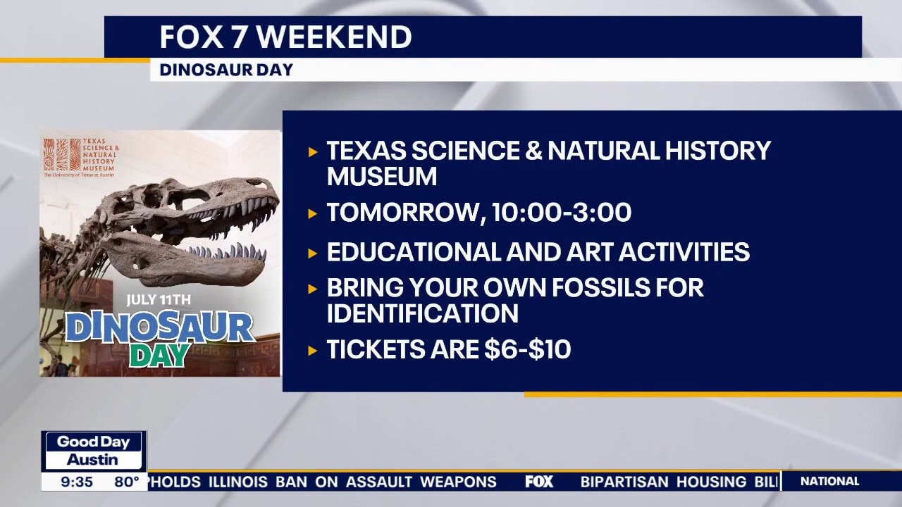 FOX 7 Weekend - July 11-12