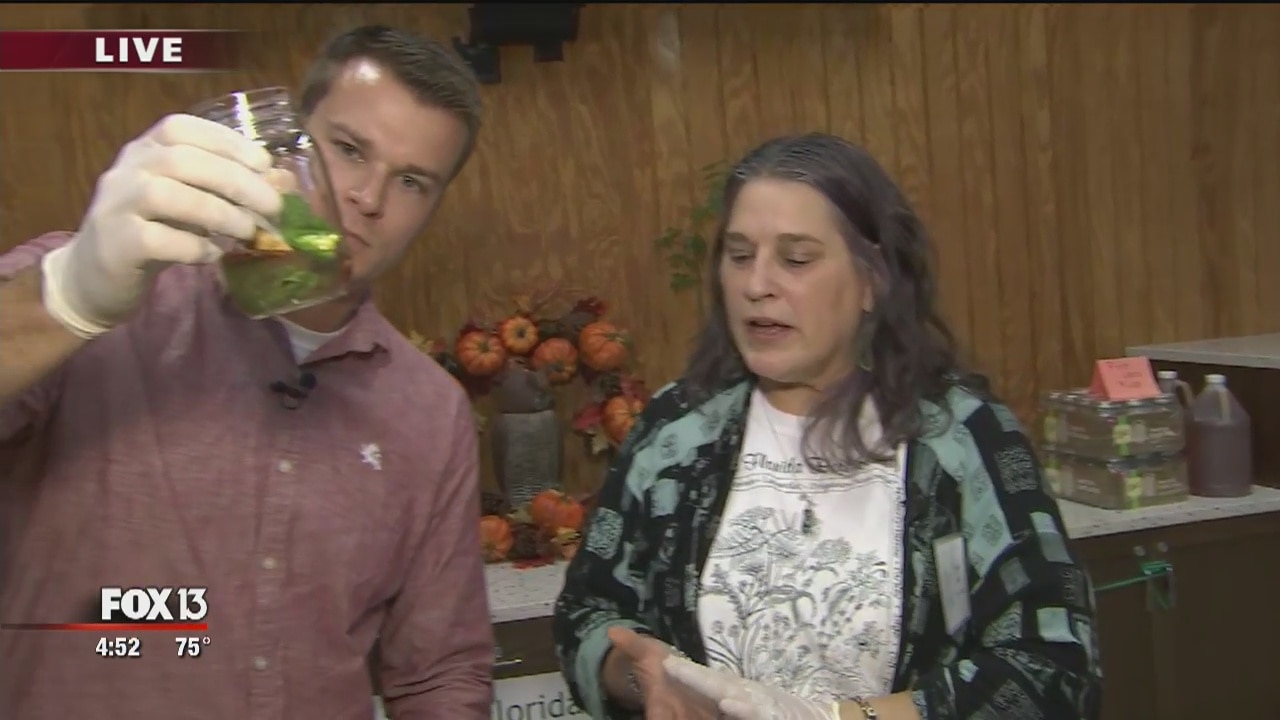 Florida Herb Society makes exotic accessible