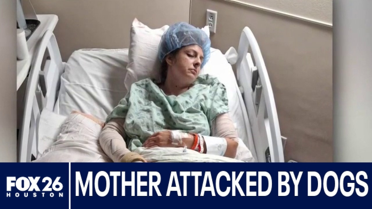 Mother remains hospitalized after being attacked by 4 dogs