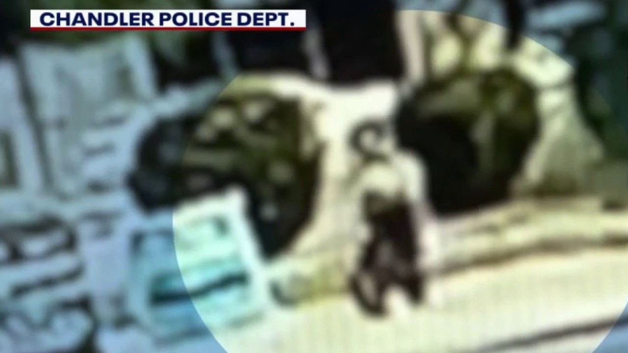 E-bike rider hit by car in Chandler