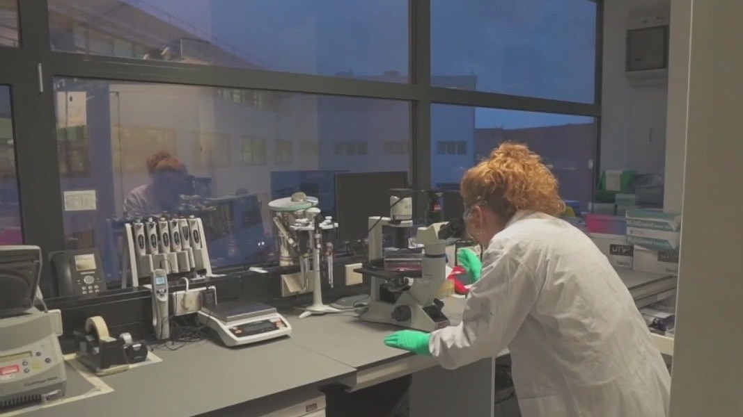 Debate rekindles over COVID-19 vaccines, masks