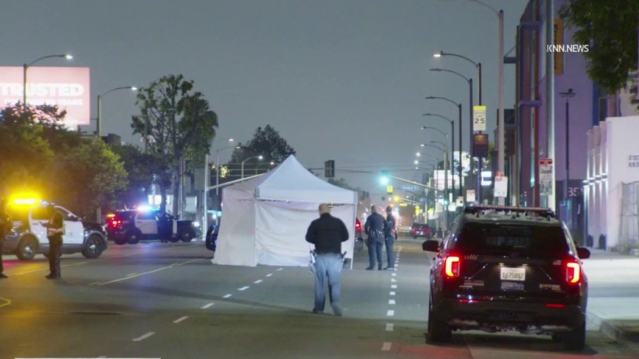 Woman killed in South LA hit-and-run crash 