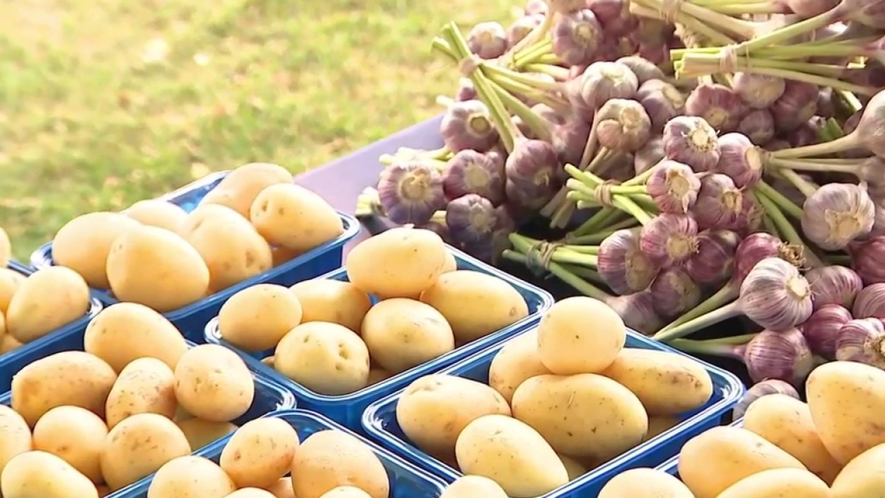Thiensville Farmers Market: Every Tuesday, now through mid-October.