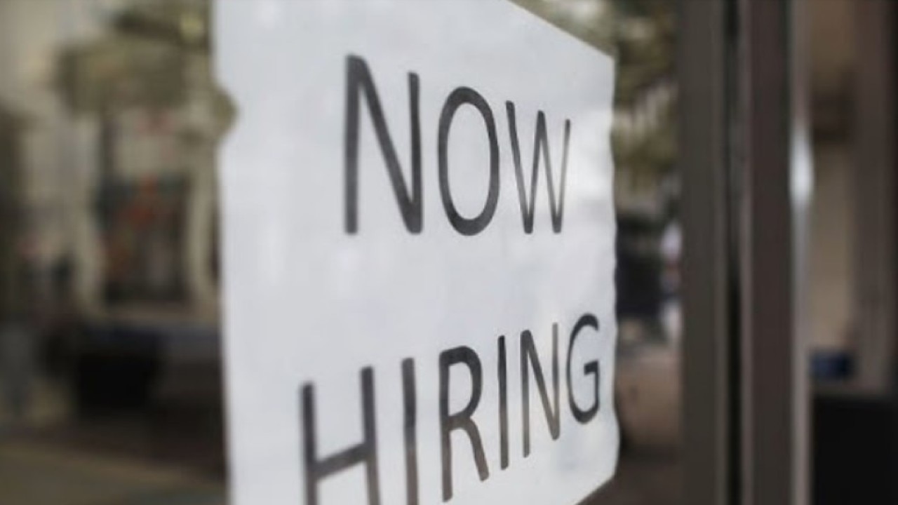 Looking for a new job? So are 45% of Chicagoans | ChicagoLIVE
